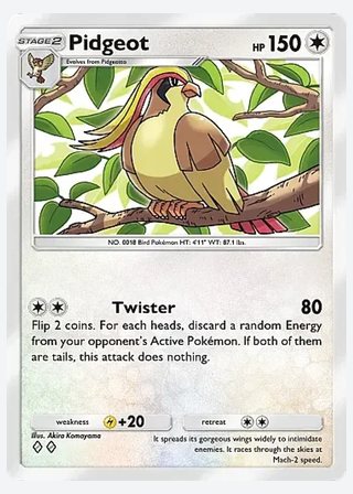 Pidgeot — catalogusbeeld