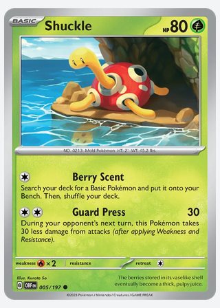 Shuckle — catalogusbeeld