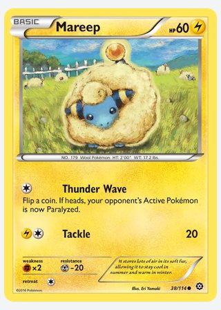 Mareep — catalogusbeeld