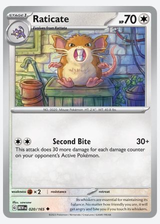 Raticate — catalogusbeeld