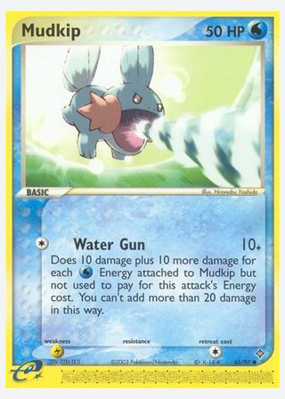 Mudkip — catalogusbeeld