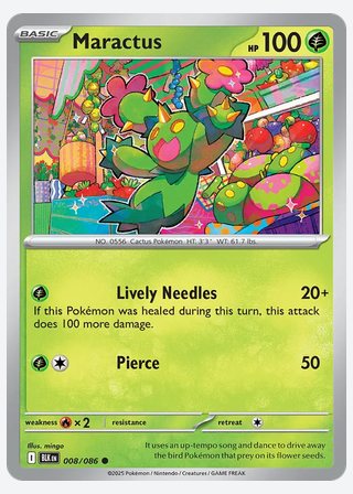 Maractus — catalogusbeeld
