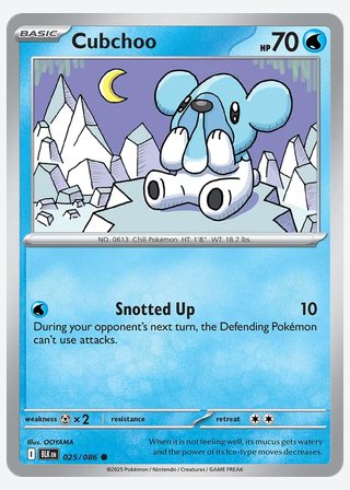 Cubchoo — catalogusbeeld