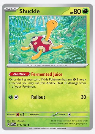 Shuckle — catalogusbeeld