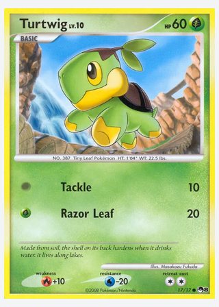 Turtwig — catalogusbeeld