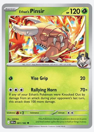 Ethan's Pinsir — catalogusbeeld