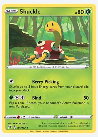 Shuckle — catalogusbeeld