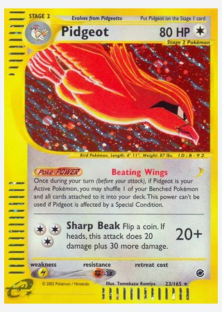 Pidgeot — catalogusbeeld