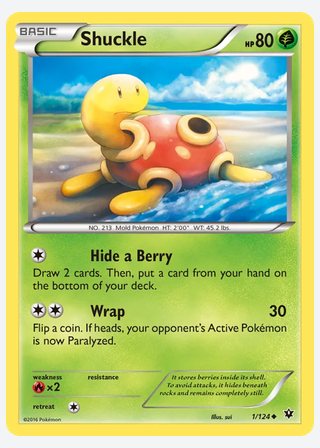 Shuckle — catalogusbeeld