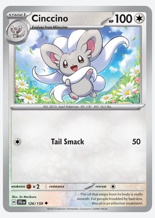 Cinccino — catalogusbeeld