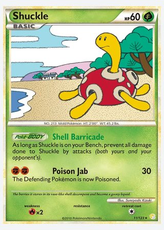 Shuckle — catalogusbeeld