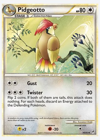Pidgeotto — catalogusbeeld