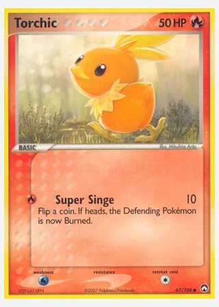 Torchic — catalogusbeeld