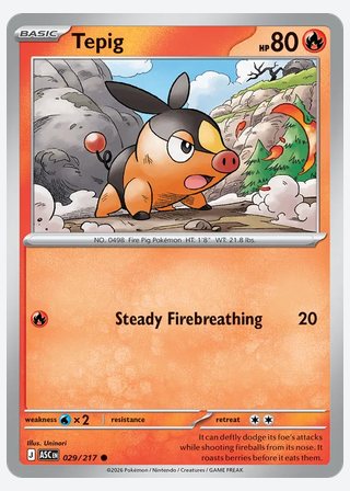 Tepig — catalogusbeeld