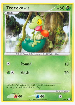 Treecko — catalogusbeeld