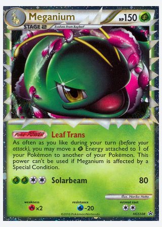 Meganium — catalogusbeeld