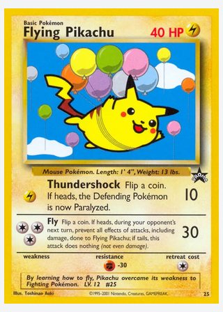 Flying Pikachu — catalogusbeeld