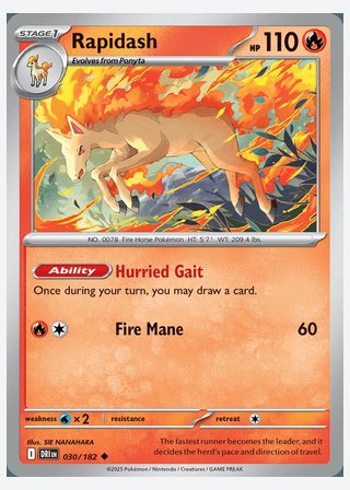 Rapidash — catalogusbeeld