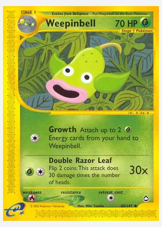 Weepinbell — catalogusbeeld