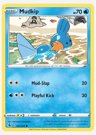 Mudkip — catalogusbeeld