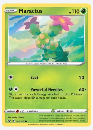 Maractus — catalogusbeeld
