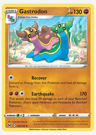 Gastrodon — catalogusbeeld