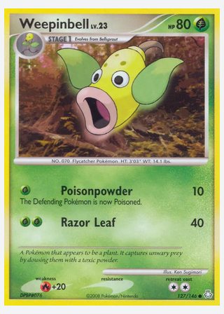 Weepinbell — catalogusbeeld