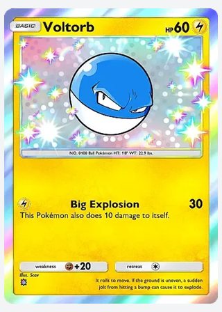 Voltorb — catalogusbeeld