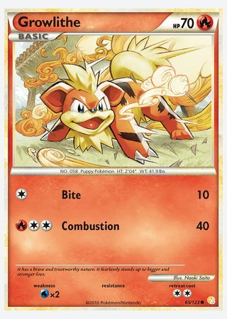 Growlithe — catalogusbeeld