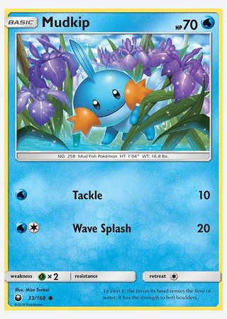 Mudkip — catalogusbeeld