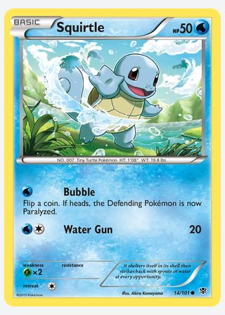 Squirtle — catalogusbeeld