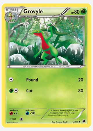 Grovyle — catalogusbeeld
