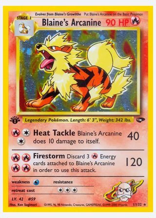 Blaine's Arcanine — catalogusbeeld