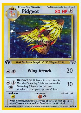 Pidgeot — catalogusbeeld