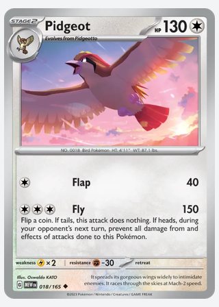 Pidgeot — catalogusbeeld