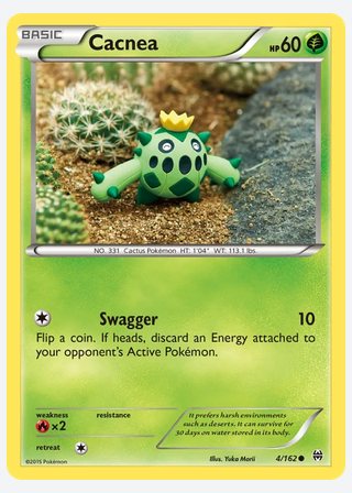 Cacnea — catalogusbeeld