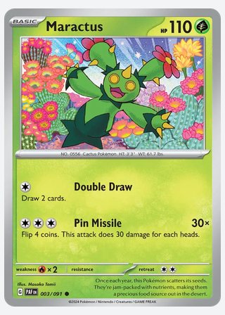 Maractus — catalogusbeeld