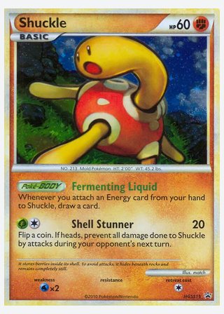 Shuckle — catalogusbeeld