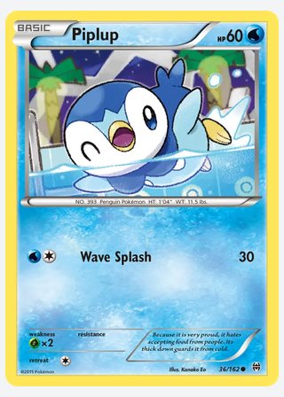 Piplup — catalogusbeeld