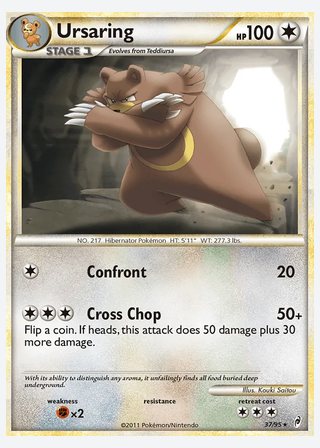 Ursaring — catalogusbeeld