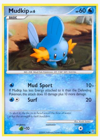 Mudkip — catalogusbeeld