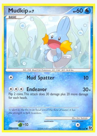 Mudkip — catalogusbeeld