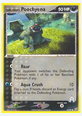 Team Aqua's Poochyena — catalogusbeeld