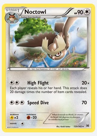 Noctowl — catalogusbeeld