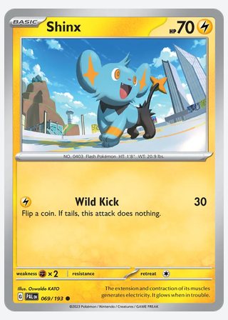 Shinx — catalogusbeeld
