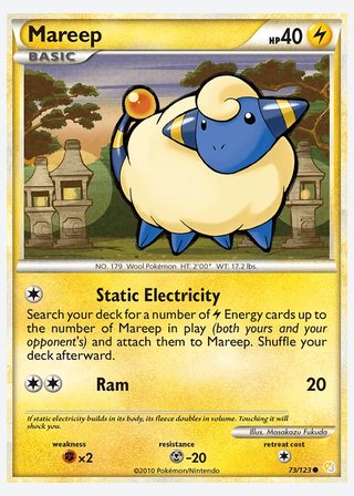Mareep — catalogusbeeld
