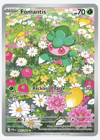 Fomantis — catalogusbeeld