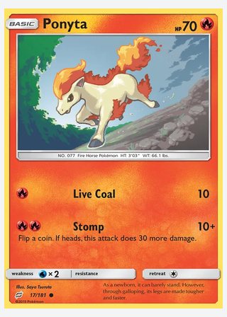 Ponyta — catalogusbeeld