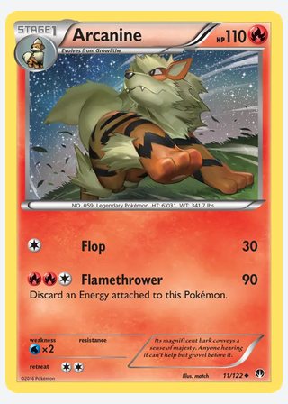 Arcanine — catalogusbeeld
