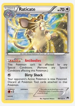 Raticate — catalogusbeeld